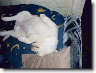 je to paráda,lehnout jsi na záda....