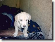 ani spát mě nenechaj,ten kdo tu byl tak mě vyrušil