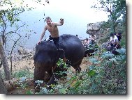 koup�n� se slony