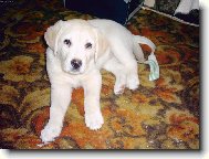 už zase ten foťák...