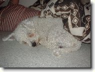 spink�m, neru�it!