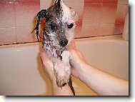 Ajkuška se koupe