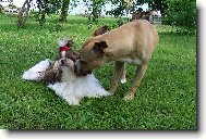 k princezn�m se ne�uch�