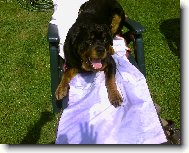 zkou�ka pevnosti :-)