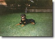 �da n�m p�zuje ...