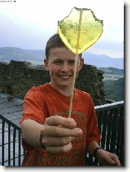 srdko z lsky darovan