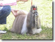 Moja l�ska CH.Jeron Atrei