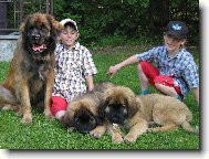 Pr�zdninov� pohoda