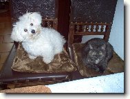 Na�e holky-Jul�a a Zuza