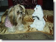 Pro� se mnou nemluv�?