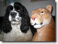 to� kdo je tady �elma