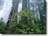 Tapety na plochu: 2329