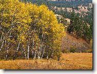 Tapety na plochu: 2408