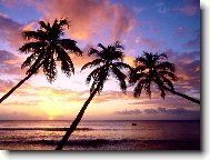 Tapety na plochu: 1759