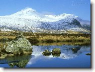 Tapety na plochu: 1947