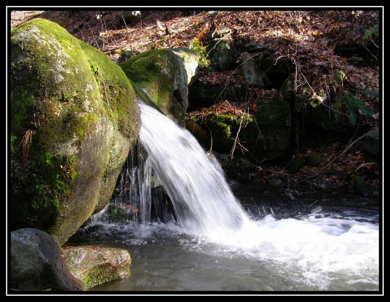 Foto: potok Maz�k