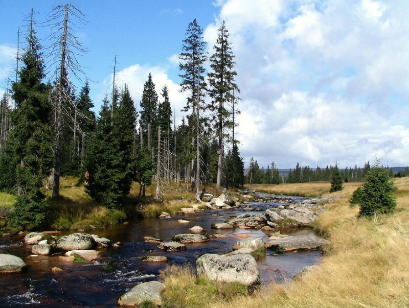 Foto: Jizersk� Louka