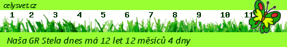 Obrázok