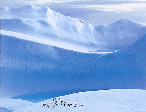 Novinka: �� je Antarktida?