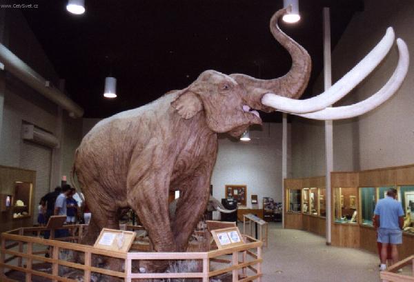 Foto k novince: DNA odhalila pbuzn mamuta