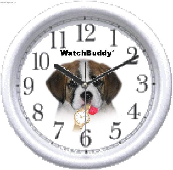 Novinka: Psi v Jablonci budou potebovat hodinky