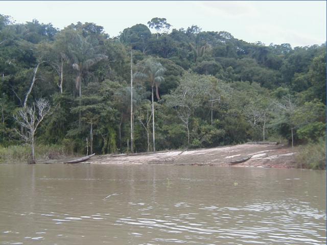 Novinka: Rekordy prody 3 - Amazonka