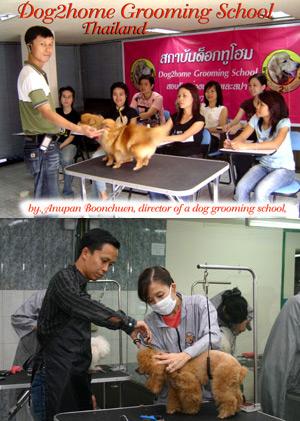 Foto k novince: V Thajsku zaalo vyslat prvn rdio pro psy