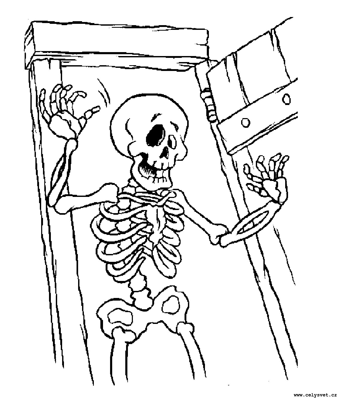 Omalovnka: Pro kluky: Pirat, pery, straidla, kostlivci