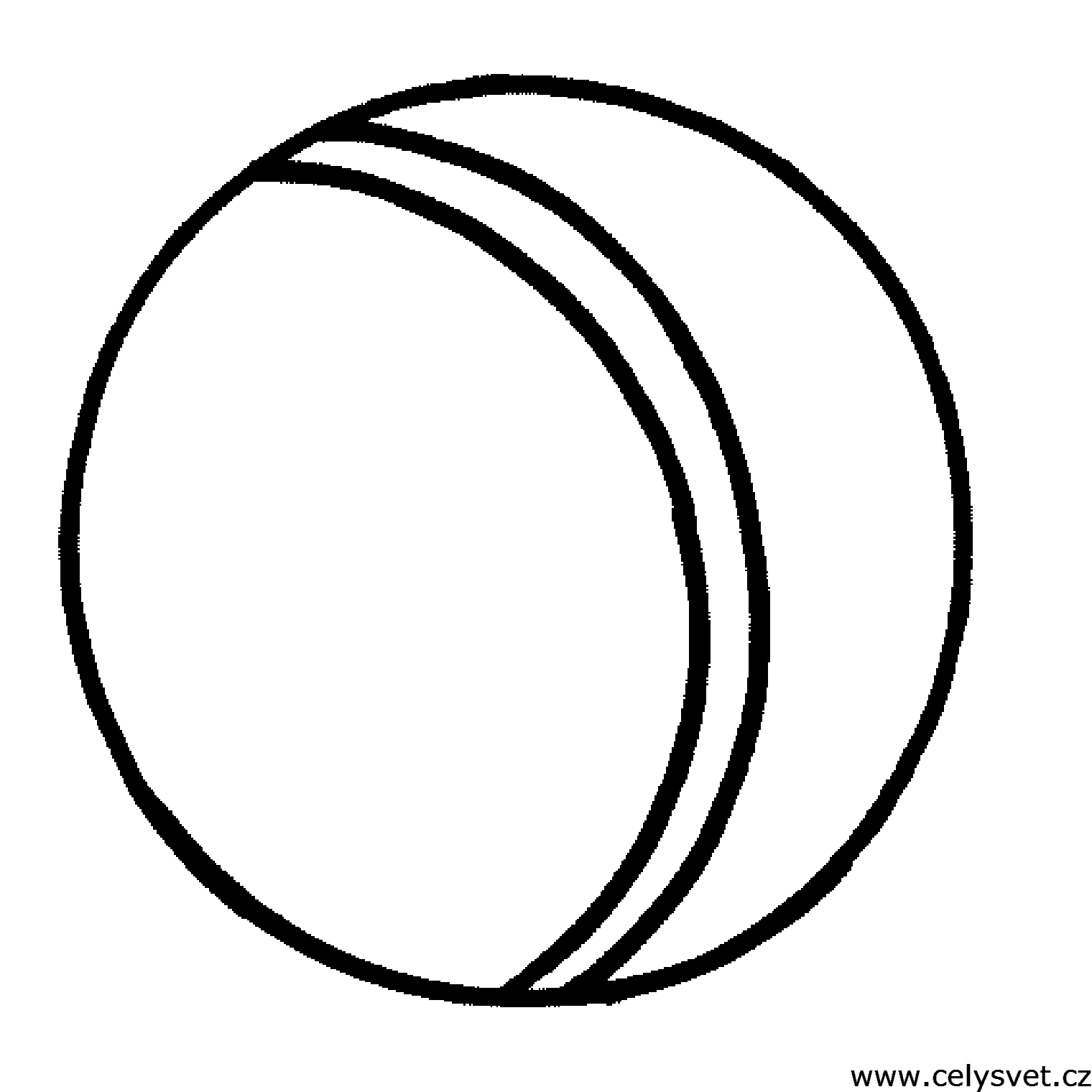 Omalovnka: Pro nejmen: Rzn