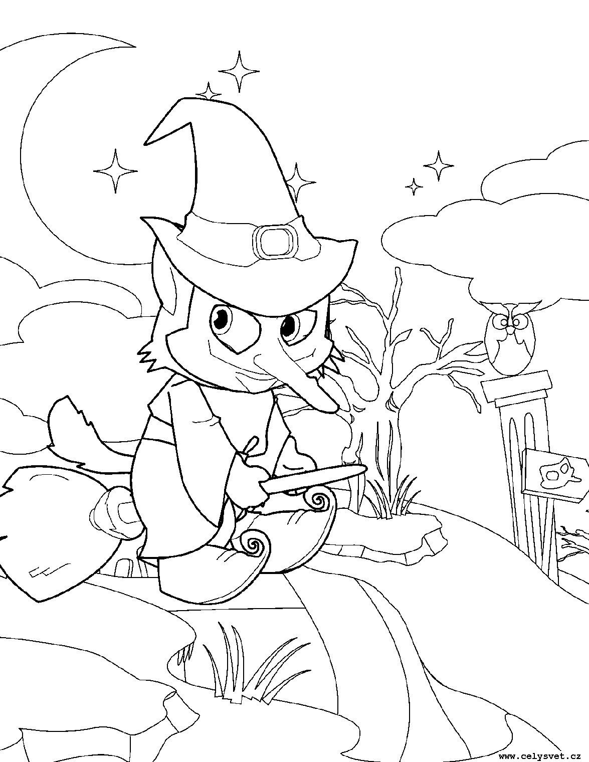 Omalovnka: Pro dvky: Vly, Kouzla, arodjnice, ert