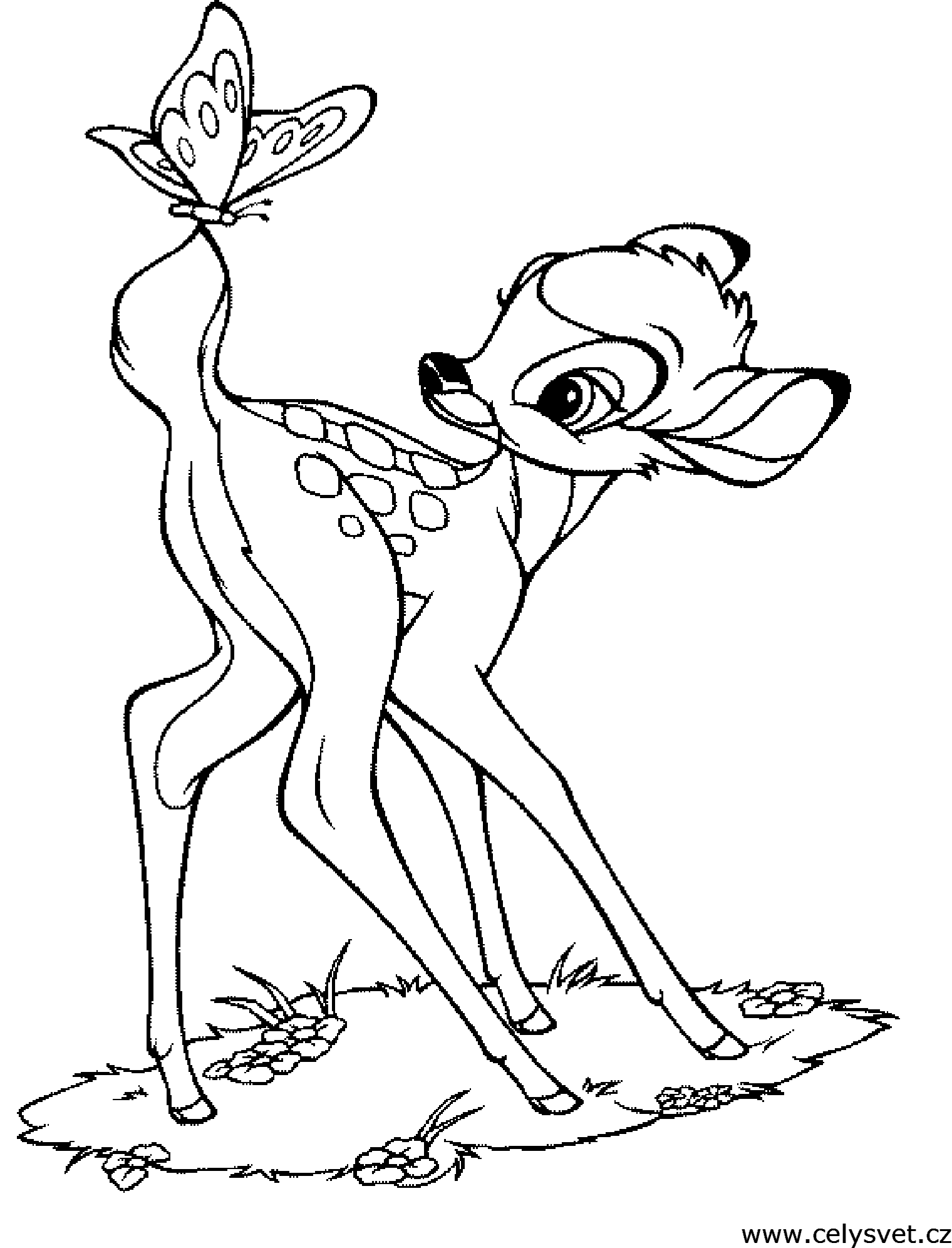Omalovnka: Zvata: Bambi
