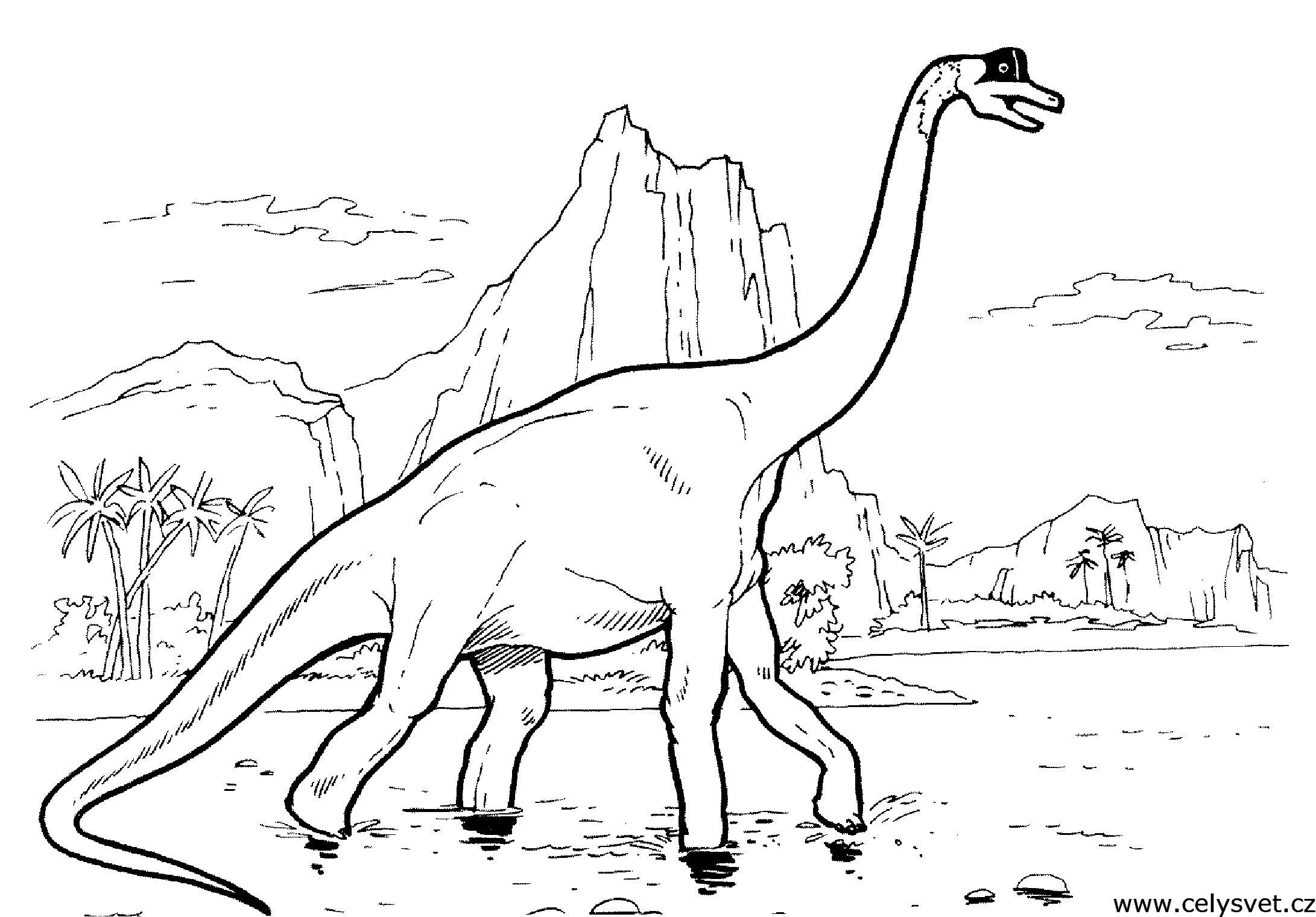 Omalovnka: Zvata: Dinosaui, dinosaurus