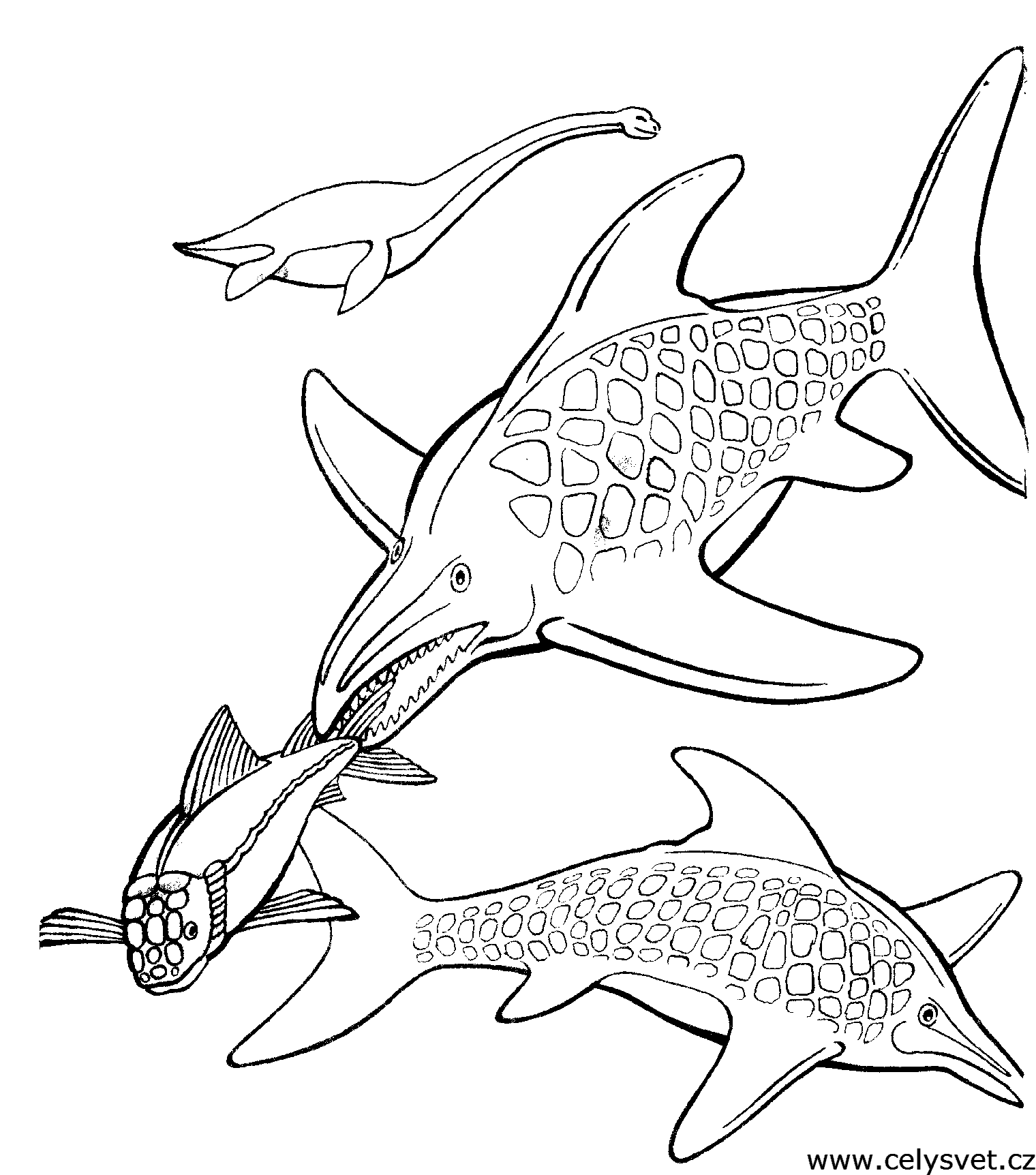 Omalovnka: Zvata: Dinosaui, dinosaurus