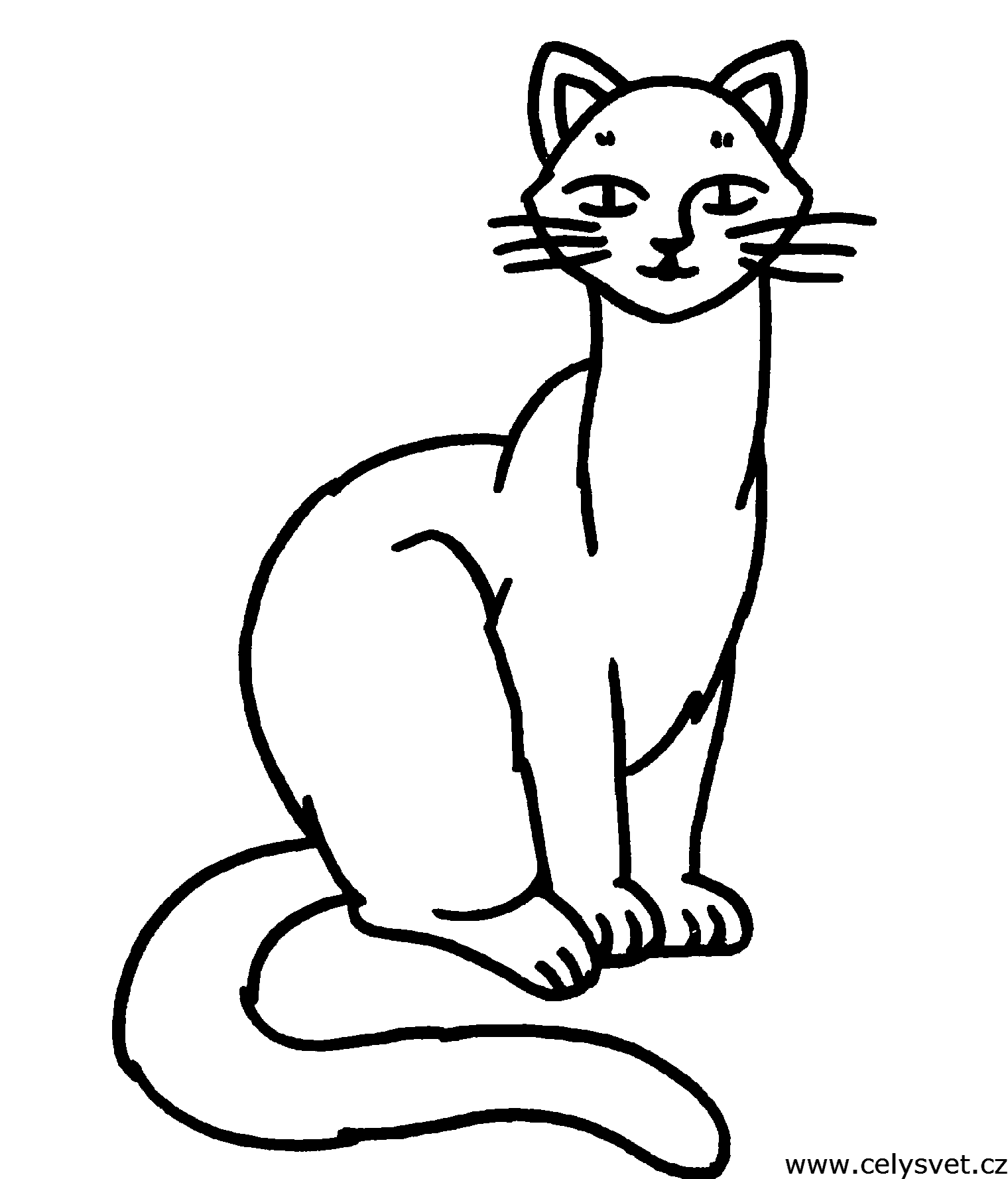 Omalovnka: Zvata: Koky