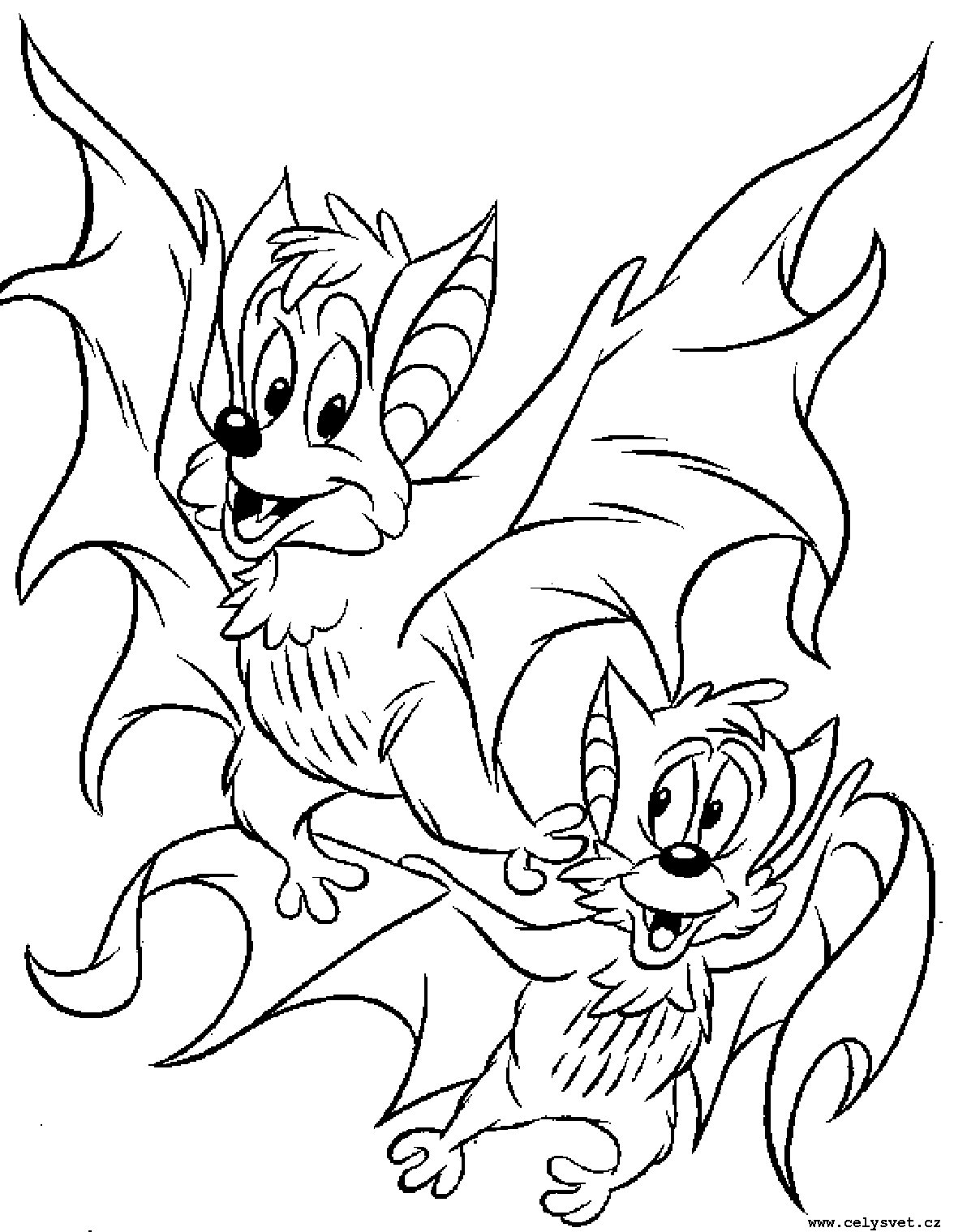 Omalovnka: Zvata: Lesn, ostatn