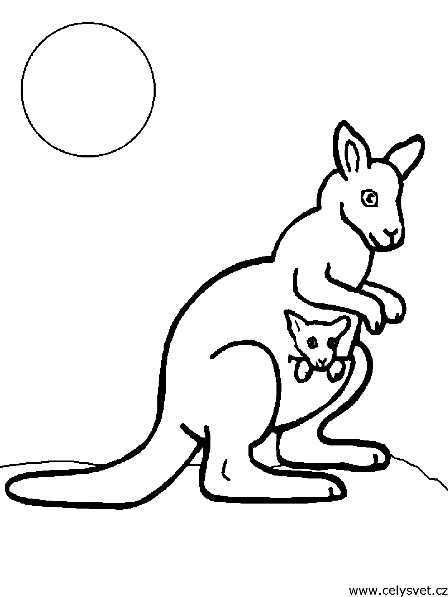 Omalovnka: Zvata: Lesn, ostatn