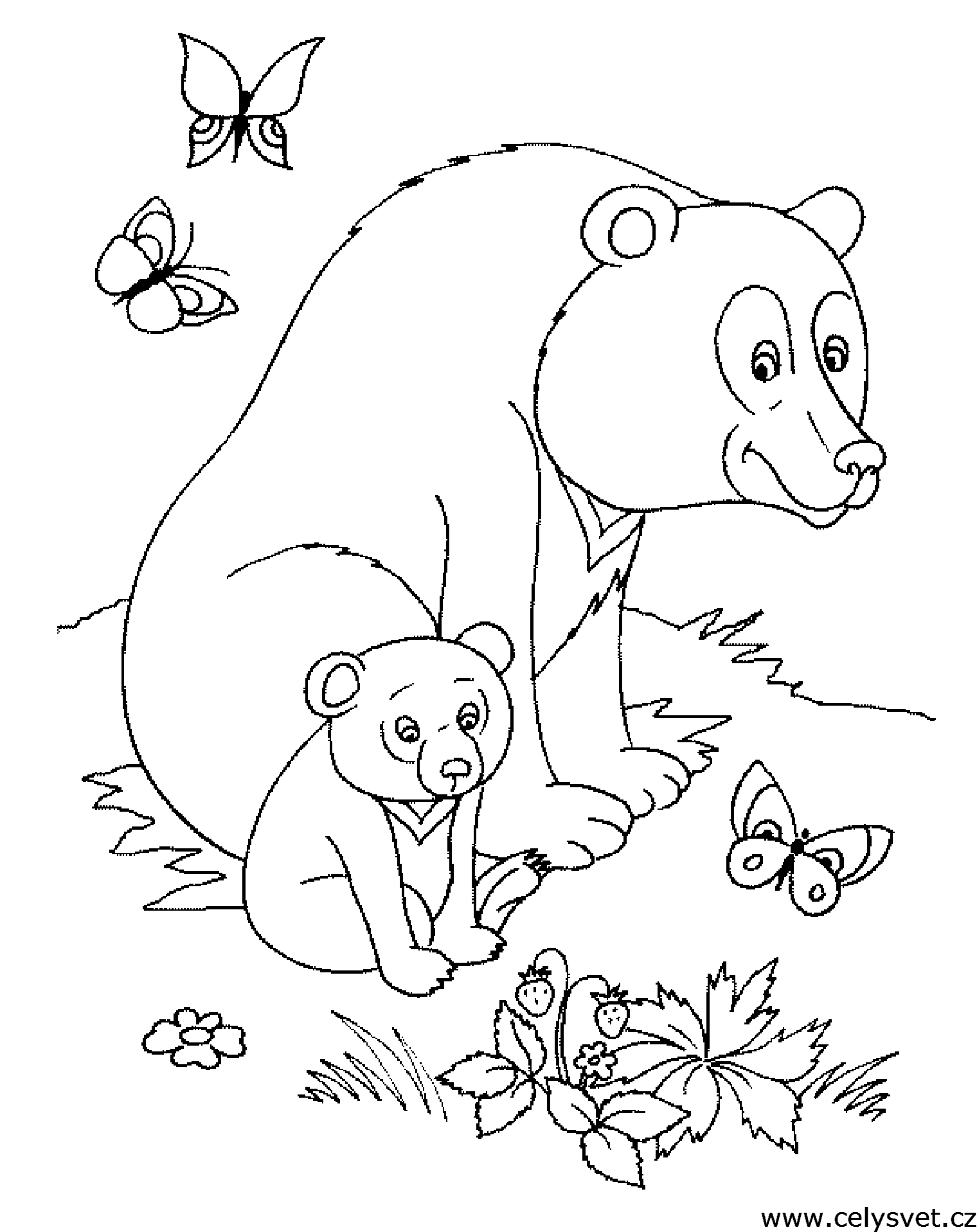 Omalovánka: Zvířata: Medvídek