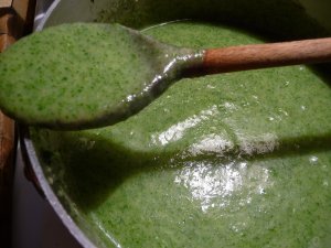 Recept online: Jemná petrželová polévka: Jemná petrželová mixovaná polévka s kari a smetanou