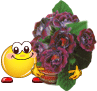 www.celysvet.cz/skin/smile/s12824.gif
