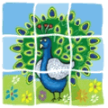 Tapety na plochu (pc) ostatn�