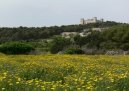 Photos: Malta (pictures, images)