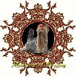 Chovatelska stanice ps�: MEMORIES OF DREAMS