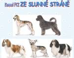 Chovatelska stanice psů: ZE SLUNNÉ STRÁNĚ
