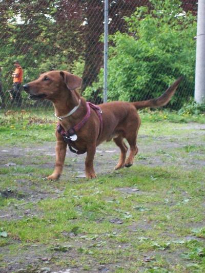 Foto ke ztr�t�m a n�lez�m