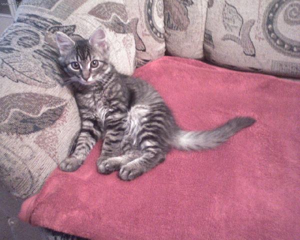 Foto ke ztr�t�m a n�lez�m
