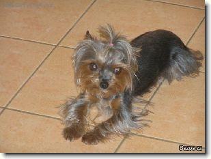 Foto ke ztr�t�m a n�lez�m