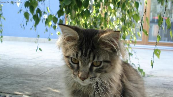 Foto ke ztr�t�m a n�lez�m