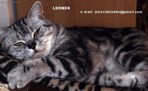 Foto ke ztr�t�m a n�lez�m