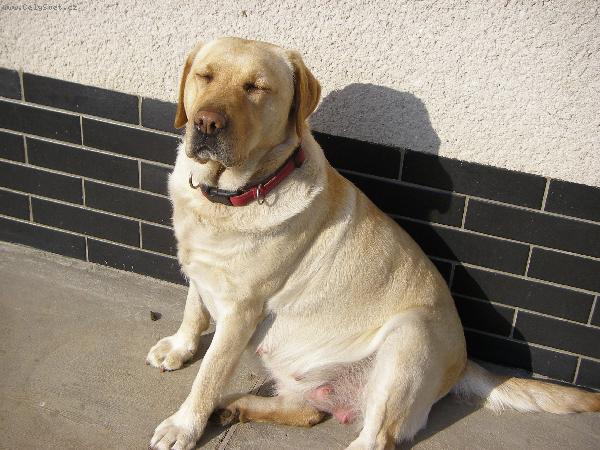 Foto ke ztr�t�m a n�lez�m